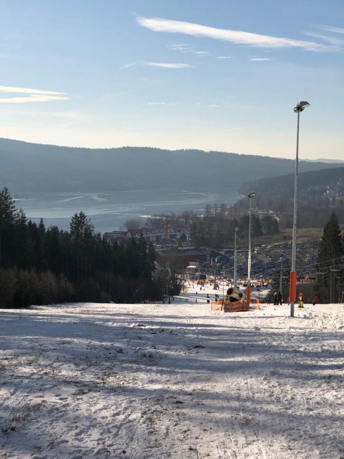 L&B Lake View Modern Apartment Lipno nad Vltavou Exteriér fotografie
